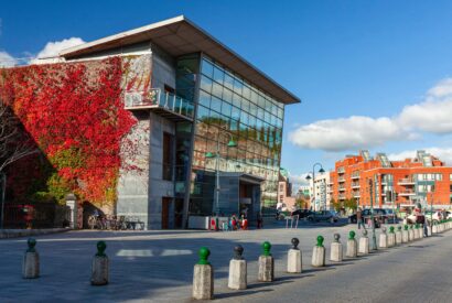 Cork