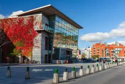Cork