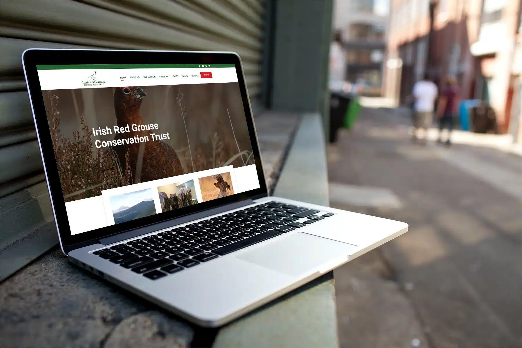 Irish Red Grouse Conservation Trust – Non-Profit Website Redesign