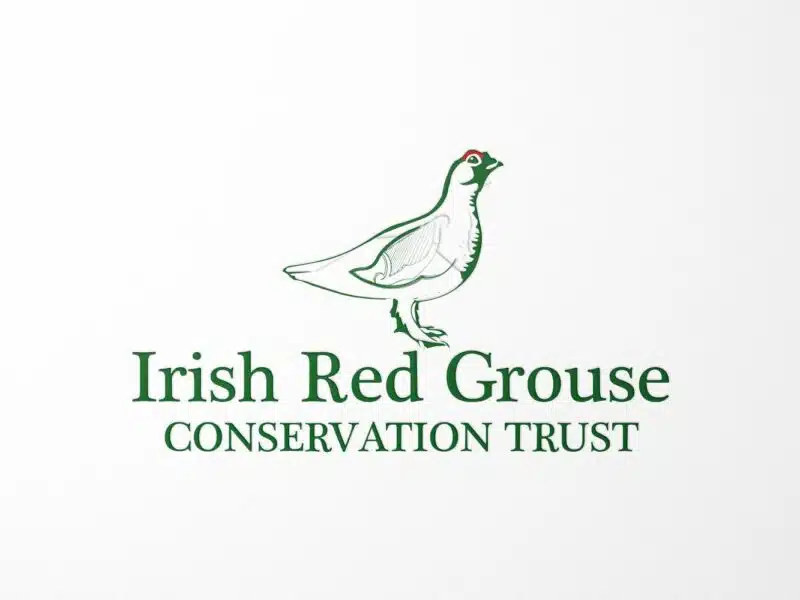 Irish Red Grouse Conservation Trust – Non-Profit Website Redesign