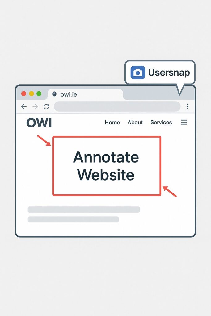 Usersnap Chrome extension on owi.ie website with annotation overlay.